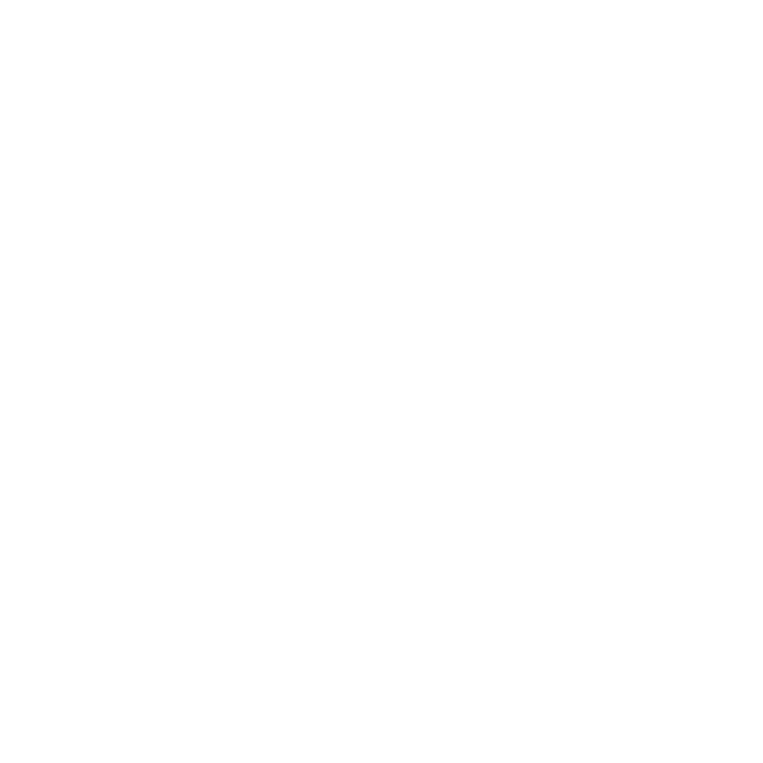 Simora AI